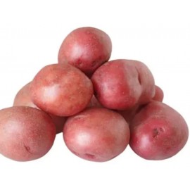 Cartofi roșii