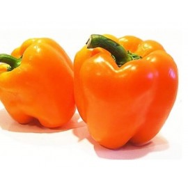 Ardei gras portocaliu