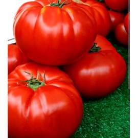 Roșii țărănești