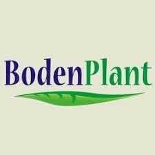 Boden Plant