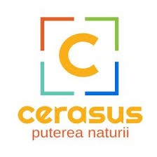 Cerasus