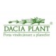 Dacia Plant