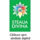 Steaua Divina