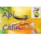 Api Calin