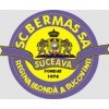 Bermas