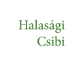Halasagi Csibi