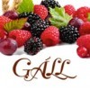 Gall