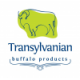 Buffalo Transylvania