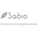 Sabio
