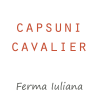 Capsuni Cavalier