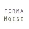 Ferma Moise