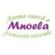 Mnoela