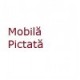 Mobila Pictata