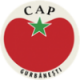 C.A.P Gurbanesti