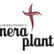 Bio Nera Plant